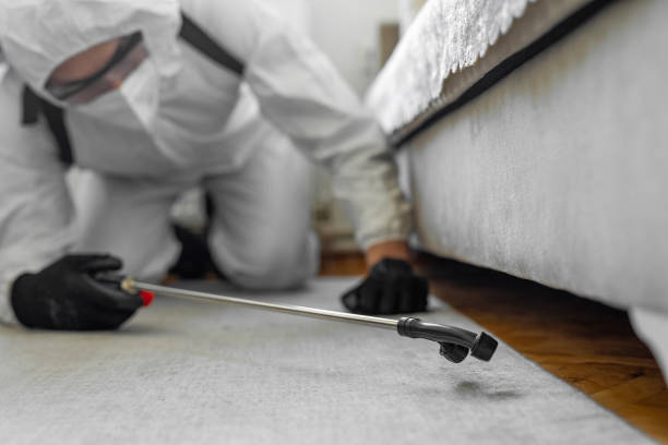 Professional Emergency Pest Control technician working in Homer City, PA