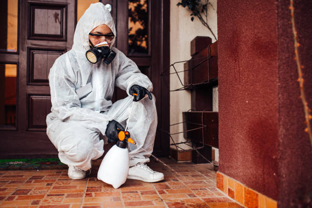 Reliable Emergency Pest Control contractor in Homer City, PA by Nex Pest Control
