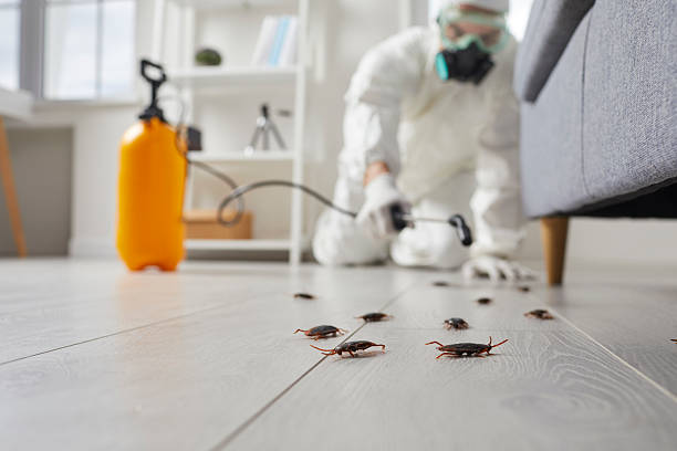Trusted Rodent Control service in Homer City, PA - Nex Pest Control